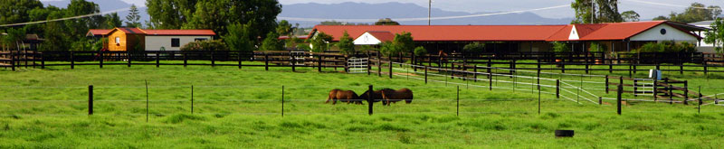 Edinburgh Park Thoroughbred Stud Taree NSW Australia