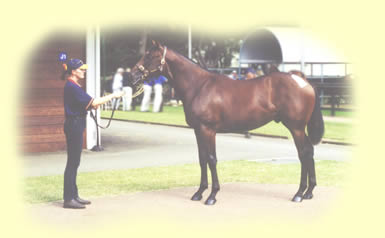 Dehere - Speaker colt sold for $350,000