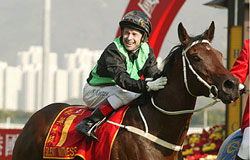 Champion Sprinter SILENT WITNESS after winning 2003 Hong Kong Sprint at Sha Tin