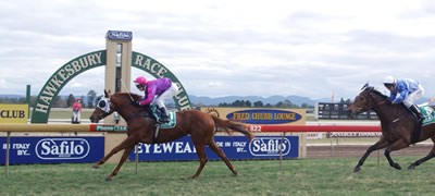 Princess Tinkabell wins at Hawkesbury