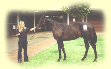 Classic 2002 Horse sales : Rubiton - Jade Tiara