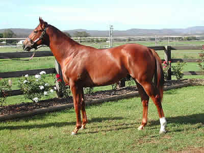 Lot 134 Classic 2003 Sale - SOLD for AUD$70,000