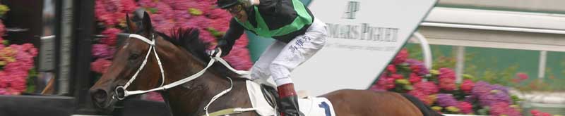 Horse Stud & Racing News --- pic: Edinburgh Park's Magic Marvo wins at Randwick.