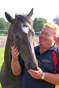 Working with thoroughbred horses